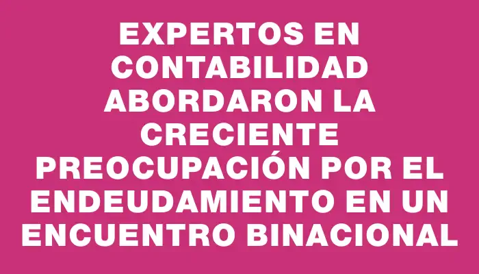 Expertos en contabilidad abordaron la creciente preocupación por el endeudamiento en un encuentro binacional