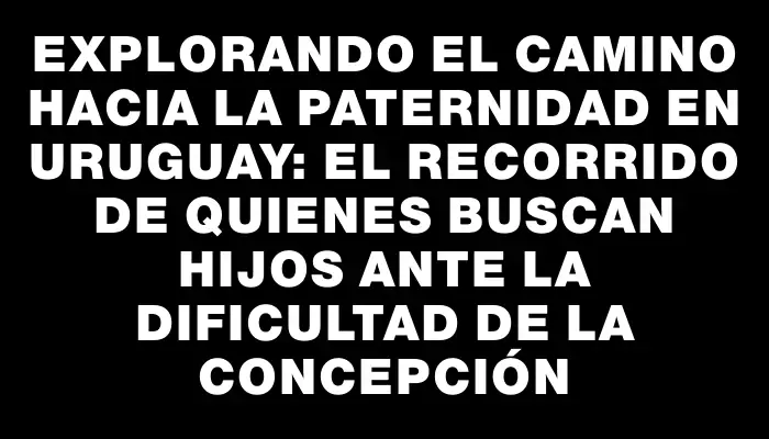 Explorando el camino hacia la paternidad en Uruguay: el recorrido de quienes buscan hijos ante la dificultad de la concepción