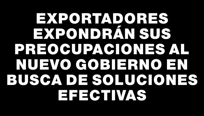 Exportadores expondrán sus preocupaciones al nuevo Gobierno en busca de soluciones efectivas