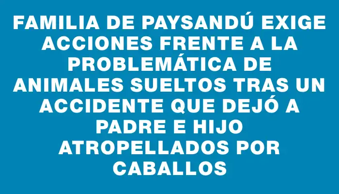 Familia de Paysandú exige acciones frente a la problemática de animales sueltos tras un accidente que dejó a padre e hijo atropellados por caballos