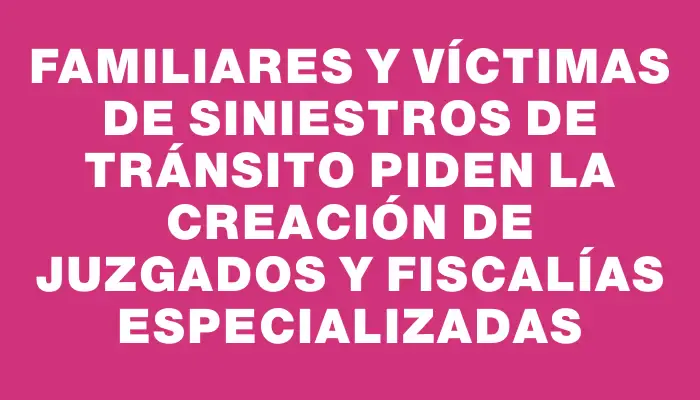 Familiares y víctimas de siniestros de tránsito piden la creación de Juzgados y Fiscalías especializadas