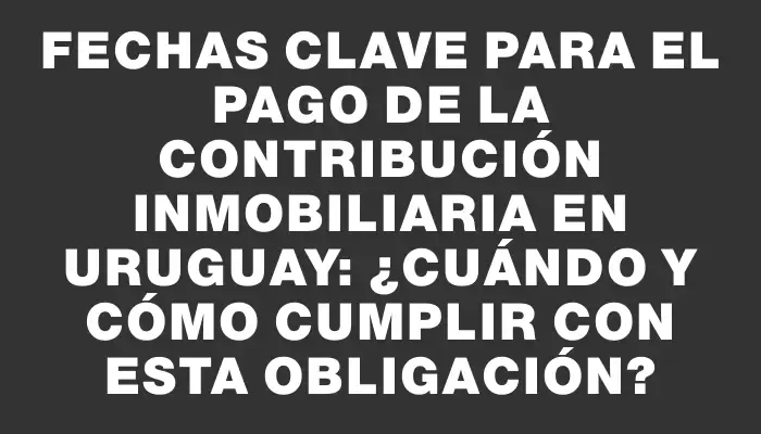 Fechas clave para el pago de la contribución inmobiliaria en Uruguay: ¿Cuándo y cómo cumplir con esta obligación?