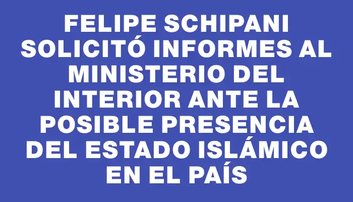 Felipe Schipani solicitó informes al Ministerio del Interior ante la posible presencia del Estado Islámico en el país