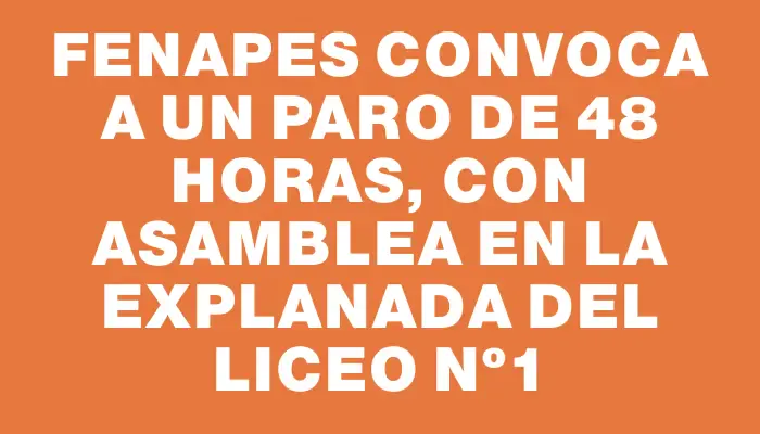 Fenapes convoca a un paro de 48 horas, con asamblea en la explanada del Liceo Nº1