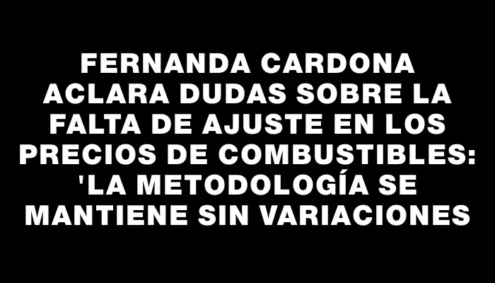 Fernanda Cardona aclara dudas sobre la falta de ajuste en los precios de combustibles: "La metodología se mantiene sin variaciones