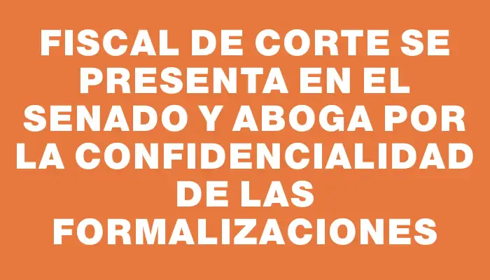 Fiscal de Corte se presenta en el Senado y aboga por la confidencialidad de las formalizaciones