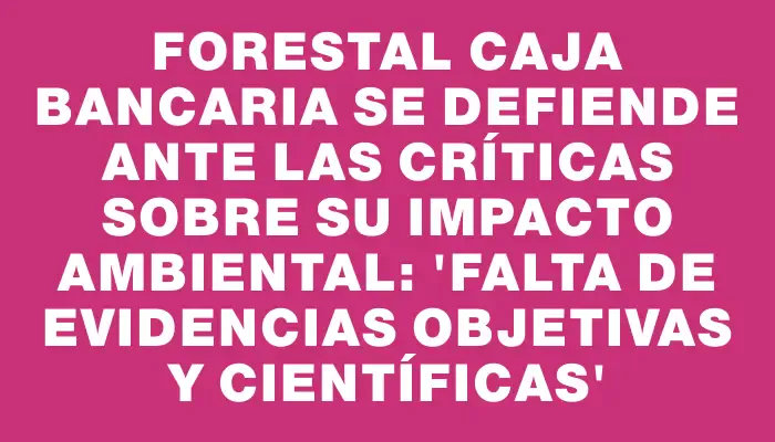 Forestal Caja Bancaria se defiende ante las críticas sobre su impacto ambiental: “falta de evidencias objetivas y científicas”