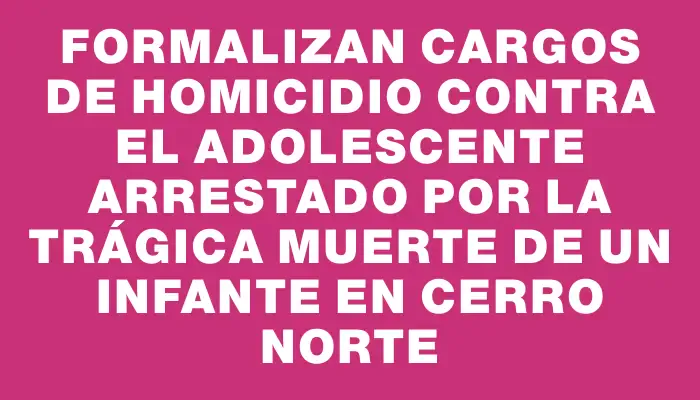 Formalizan cargos de homicidio contra el adolescente arrestado por la trágica muerte de un infante en Cerro Norte