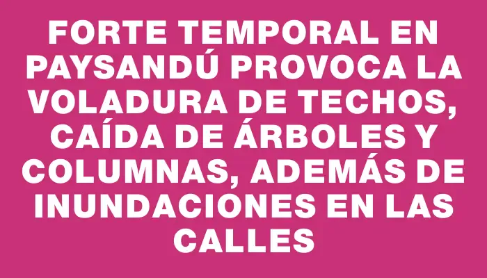 Forte temporal en Paysandú provoca la voladura de techos, caída de árboles y columnas, además de inundaciones en las calles