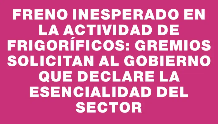 Freno inesperado en la actividad de frigoríficos: gremios solicitan al Gobierno que declare la esencialidad del sector