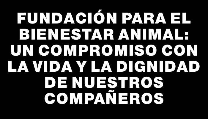 Fundación para el Bienestar Animal: Un Compromiso con la Vida y la Dignidad de Nuestros Compañeros