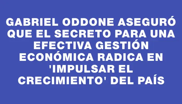 Gabriel Oddone aseguró que el secreto para una efectiva gestión económica radica en "impulsar el crecimiento" del país