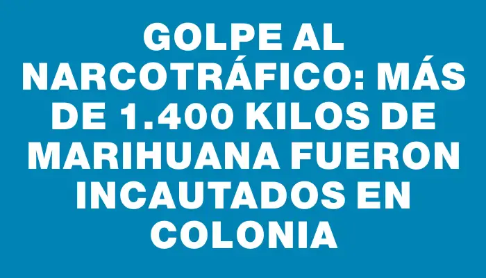 Golpe al narcotráfico: más de 1.400 kilos de marihuana fueron incautados en Colonia