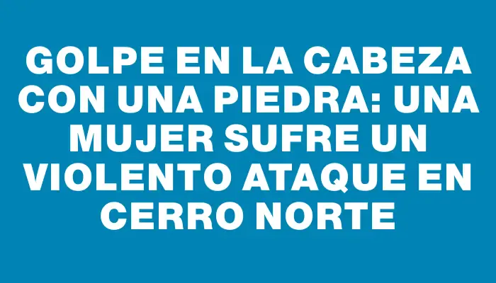 Golpe en la cabeza con una piedra: una mujer sufre un violento ataque en Cerro Norte