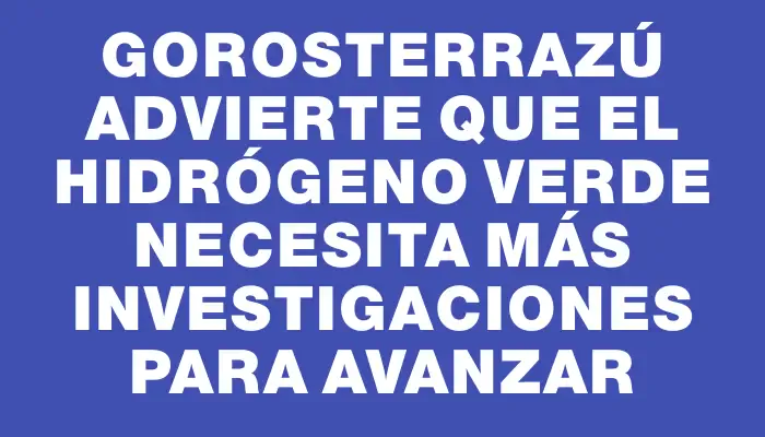 Gorosterrazú advierte que el hidrógeno verde necesita más investigaciones para avanzar