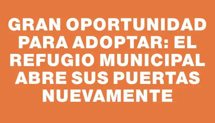 Gran oportunidad para adoptar: el Refugio Municipal abre sus puertas nuevamente