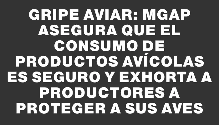 Gripe aviar: Mgap asegura que el consumo de productos avícolas es seguro y exhorta a productores a proteger a sus aves