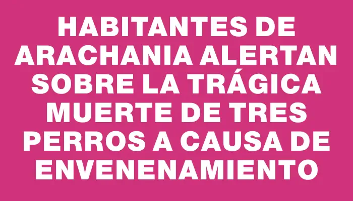 Habitantes de Arachania alertan sobre la trágica muerte de tres perros a causa de envenenamiento