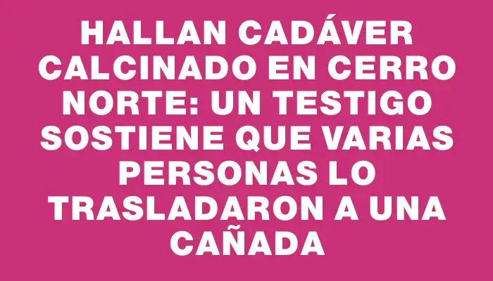 Hallan cadáver calcinado en Cerro Norte: un testigo sostiene que varias personas lo trasladaron a una cañada