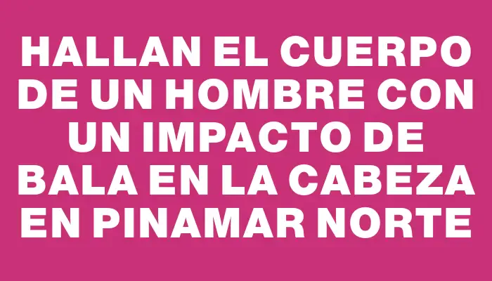 Hallan el cuerpo de un hombre con un impacto de bala en la cabeza en Pinamar Norte