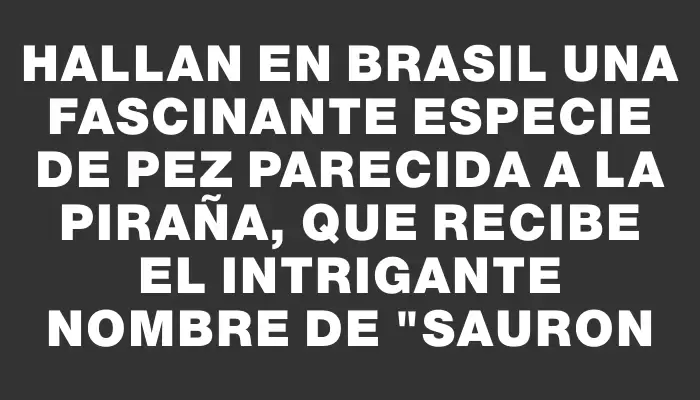 Hallan en Brasil una fascinante especie de pez parecida a la piraña, que recibe el intrigante nombre de "Sauron