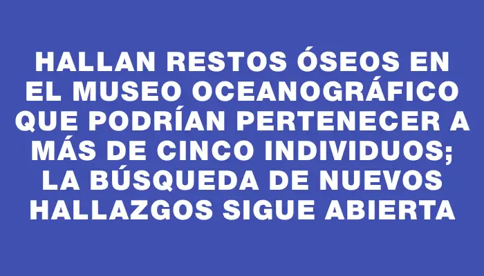 Hallan restos óseos en el Museo Oceanográfico que podrían pertenecer a más de cinco individuos; la búsqueda de nuevos hallazgos sigue abierta