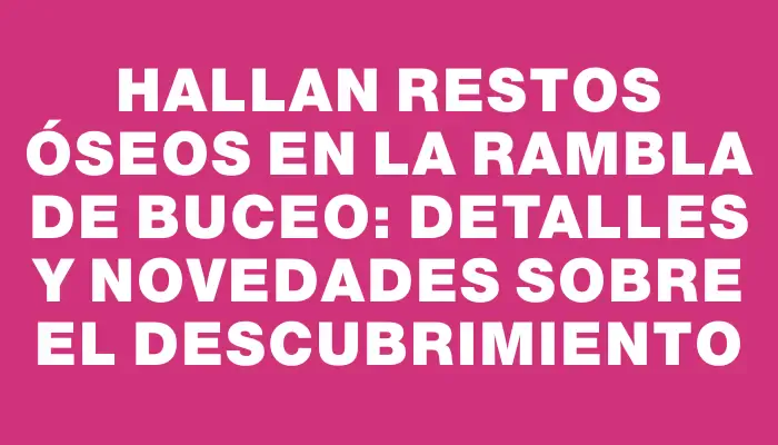 Hallan restos óseos en la rambla de Buceo: detalles y novedades sobre el descubrimiento