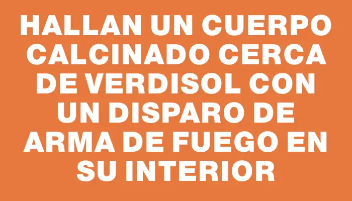 Hallan un cuerpo calcinado cerca de Verdisol con un disparo de arma de fuego en su interior