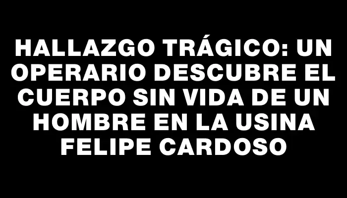 Hallazgo trágico: un operario descubre el cuerpo sin vida de un hombre en la usina Felipe Cardoso