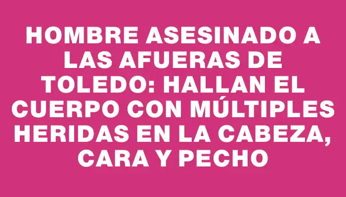 Hombre asesinado a las afueras de Toledo: hallan el cuerpo con múltiples heridas en la cabeza, cara y pecho
