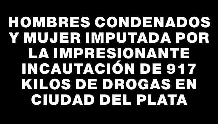 Hombres condenados y mujer imputada por la impresionante incautación de 917 kilos de drogas en Ciudad del Plata