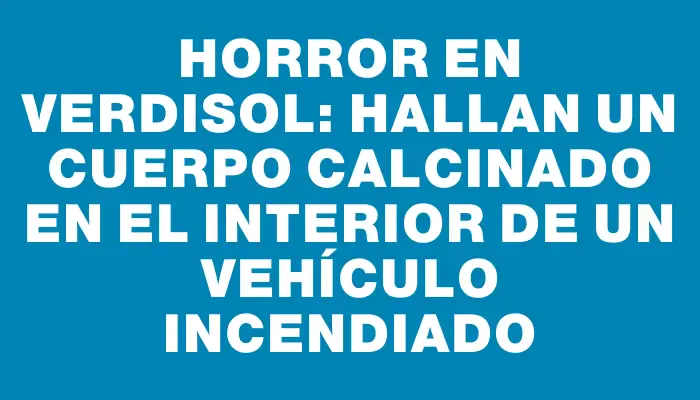 Horror en Verdisol: hallan un cuerpo calcinado en el interior de un vehículo incendiado