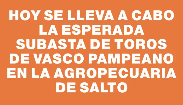 Hoy se lleva a cabo la esperada subasta de toros de Vasco Pampeano en la Agropecuaria de Salto