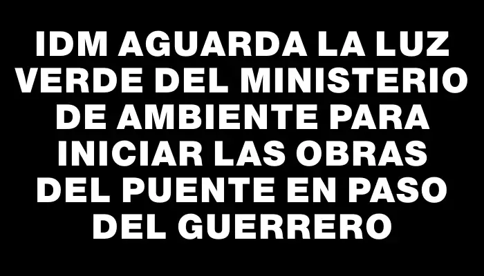 Idm aguarda la luz verde del Ministerio de Ambiente para iniciar las obras del puente en Paso del Guerrero