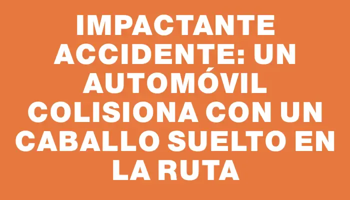 Impactante accidente: Un automóvil colisiona con un caballo suelto en la ruta