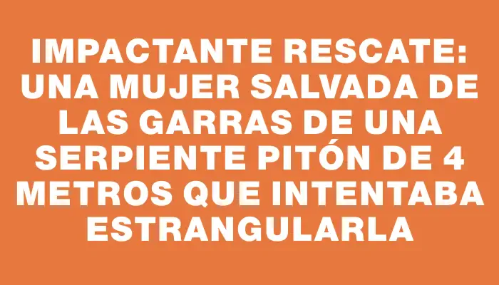 Impactante rescate: una mujer salvada de las garras de una serpiente pitón de 4 metros que intentaba estrangularla