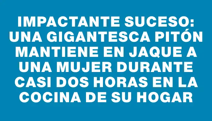 Impactante suceso: una gigantesca pitón mantiene en jaque a una mujer durante casi dos horas en la cocina de su hogar