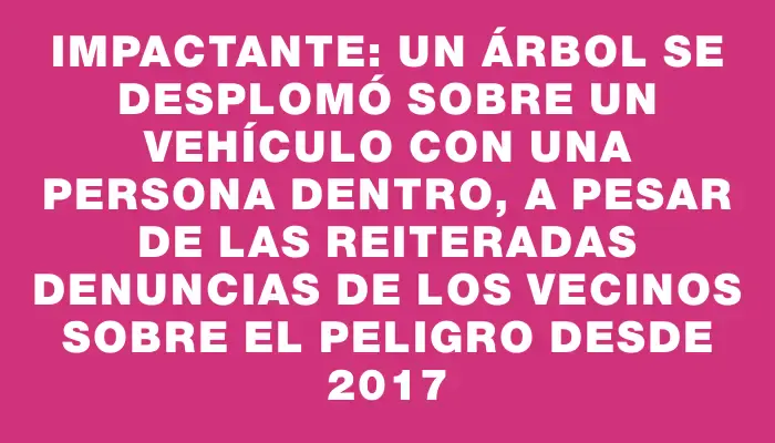 Impactante: Un árbol se desplomó sobre un vehículo con una persona dentro, a pesar de las reiteradas denuncias de los vecinos sobre el peligro desde 2017