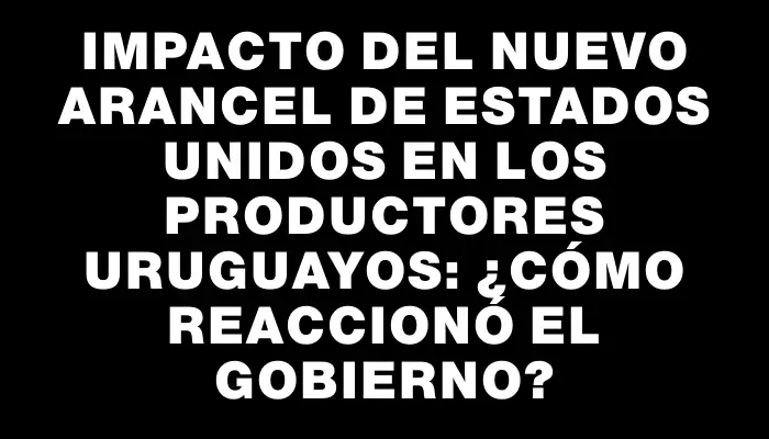 Impacto del nuevo arancel de Estados Unidos en los productores uruguayos: ¿cómo reaccionó el gobierno?