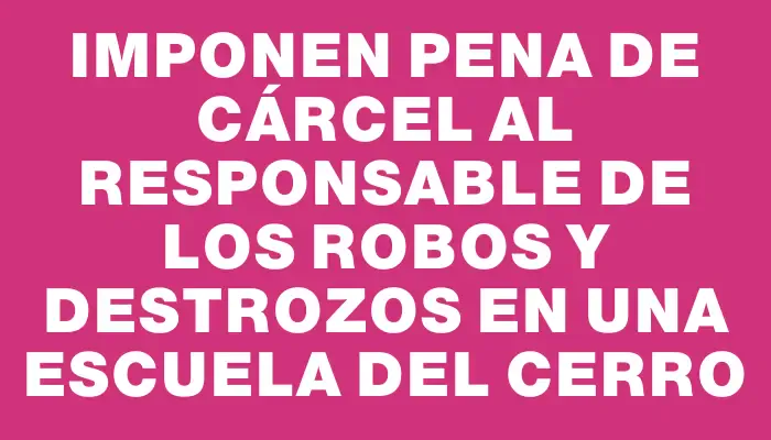 Imponen pena de cárcel al responsable de los robos y destrozos en una escuela del Cerro