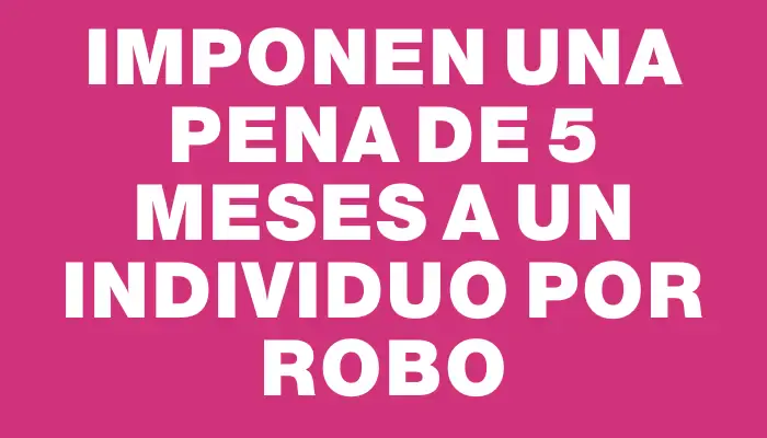 Imponen una pena de 5 meses a un individuo por robo