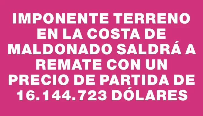 Imponente terreno en la costa de Maldonado saldrá a remate con un precio de partida de 16.144.723 dólares