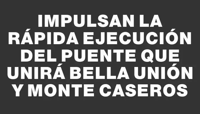 Impulsan la rápida ejecución del puente que unirá Bella Unión y Monte Caseros