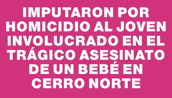 Imputaron por homicidio al joven involucrado en el trágico asesinato de un bebé en Cerro Norte