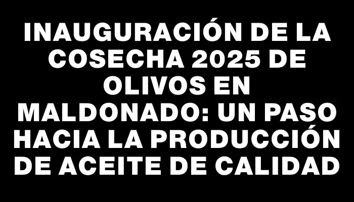 Inauguración de la cosecha 2025 de olivos en Maldonado: un paso hacia la producción de aceite de calidad