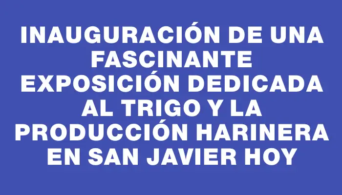 Inauguración de una fascinante exposición dedicada al trigo y la producción harinera en San Javier hoy