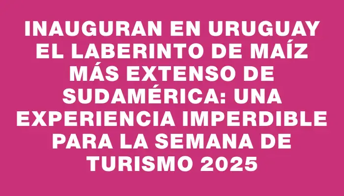 Inauguran en Uruguay el laberinto de maíz más extenso de Sudamérica: una experiencia imperdible para la Semana de Turismo 2025