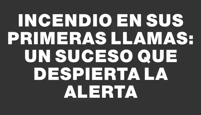 Incendio en sus primeras llamas: un suceso que despierta la alerta