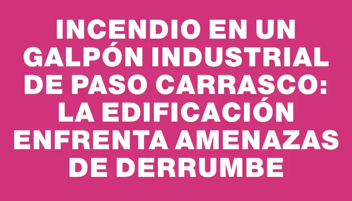 Incendio en un galpón industrial de Paso Carrasco: la edificación enfrenta amenazas de derrumbe