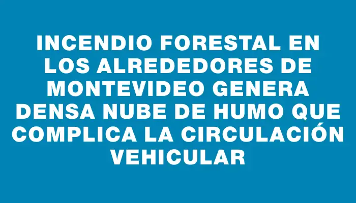 Incendio forestal en los alrededores de Montevideo genera densa nube de humo que complica la circulación vehicular